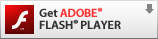 You need to upgrade your Adobe Flash Player!